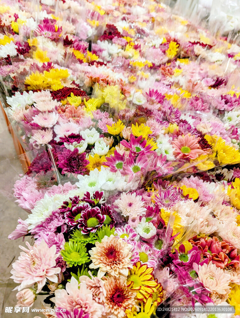 缤纷多彩鲜花整齐排列