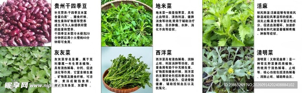 多种蔬菜展示图