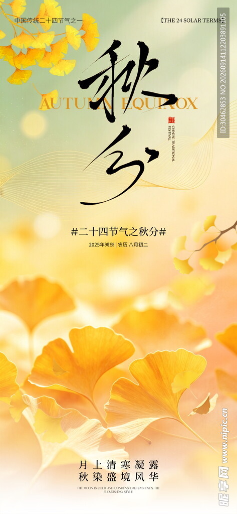 秋分时节金黄花卉美景海报