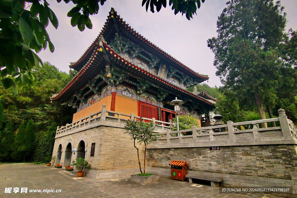中式古建隐于绿树之间