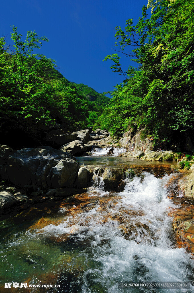 山间溪流美景