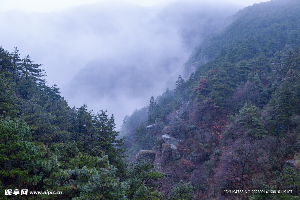 云雾缭绕的山林美景