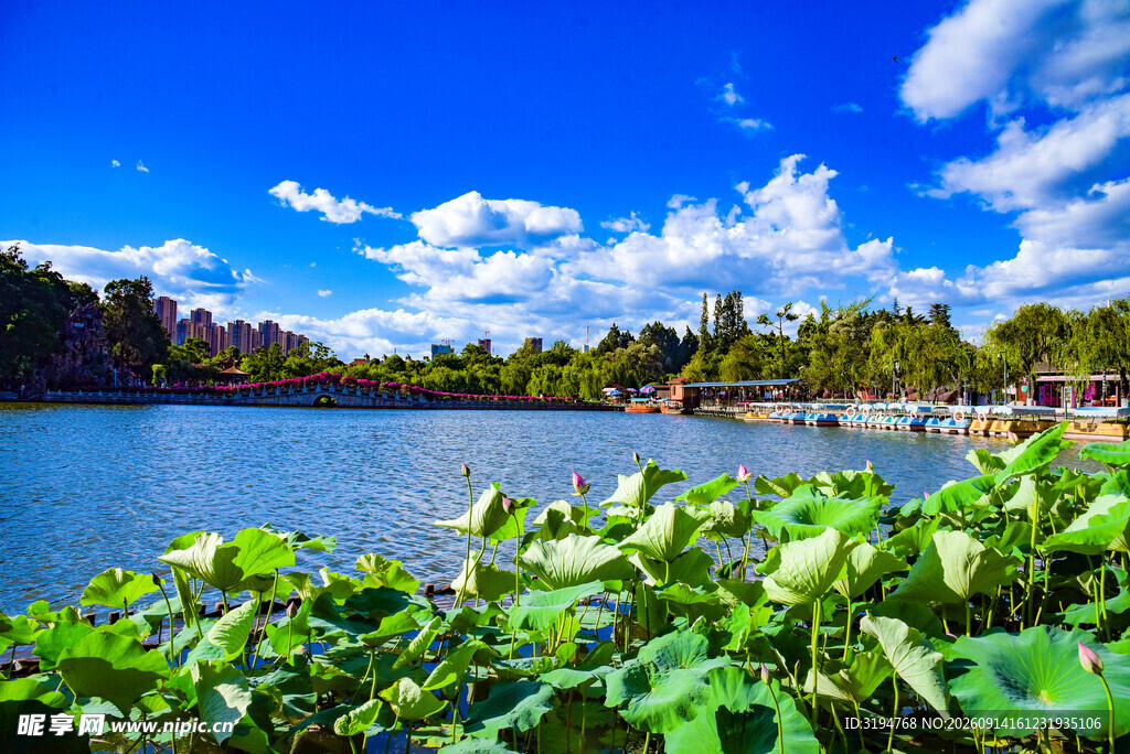 湖畔绿植与蓝天美景