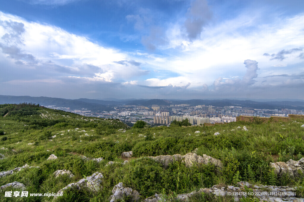 山顶繁花间的城市远景