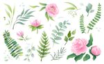 清新花卉素材