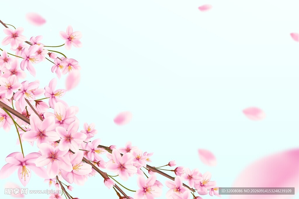 樱花背景素材