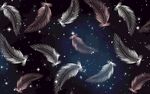 星空下的梦幻羽毛图案