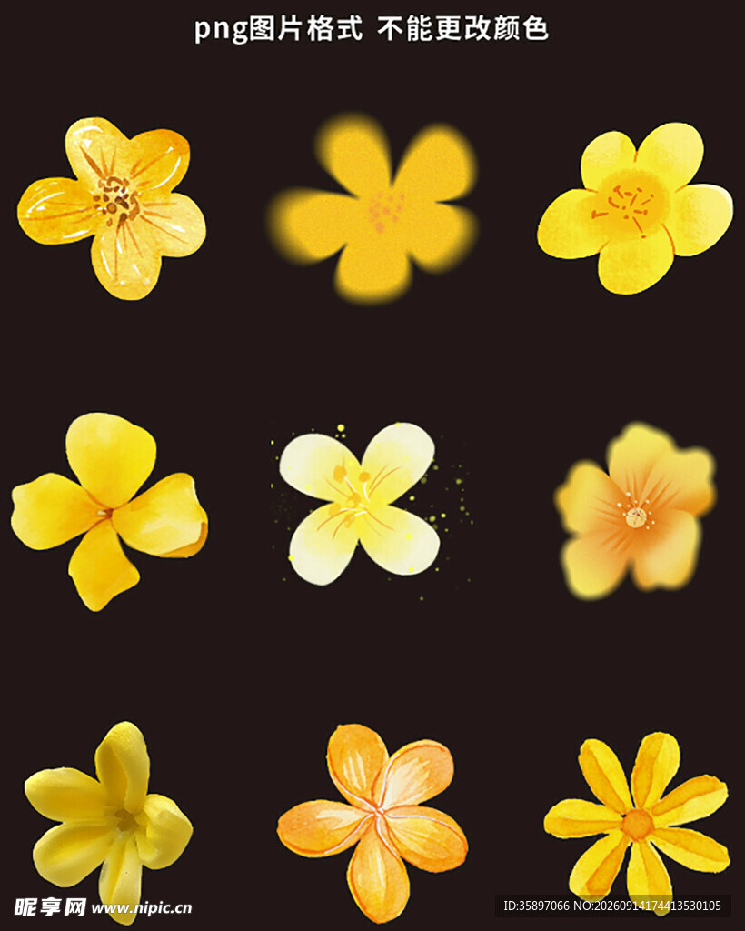黄色花朵素材