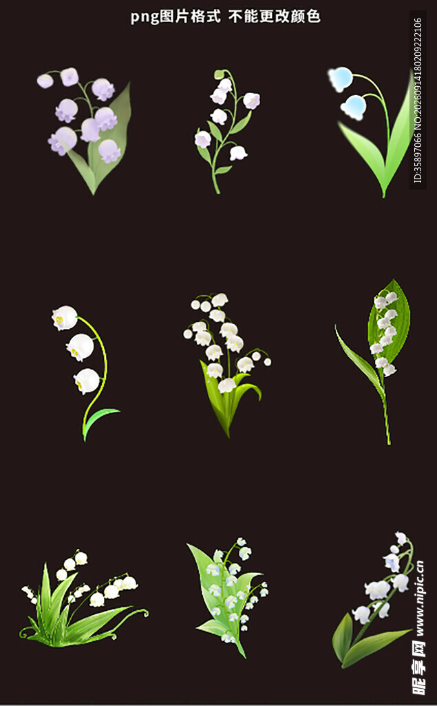 风铃花素材