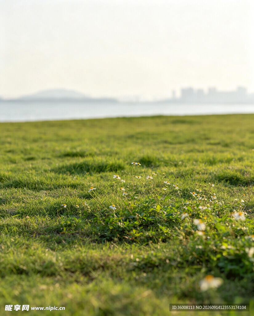 广袤绿草地清新自然景