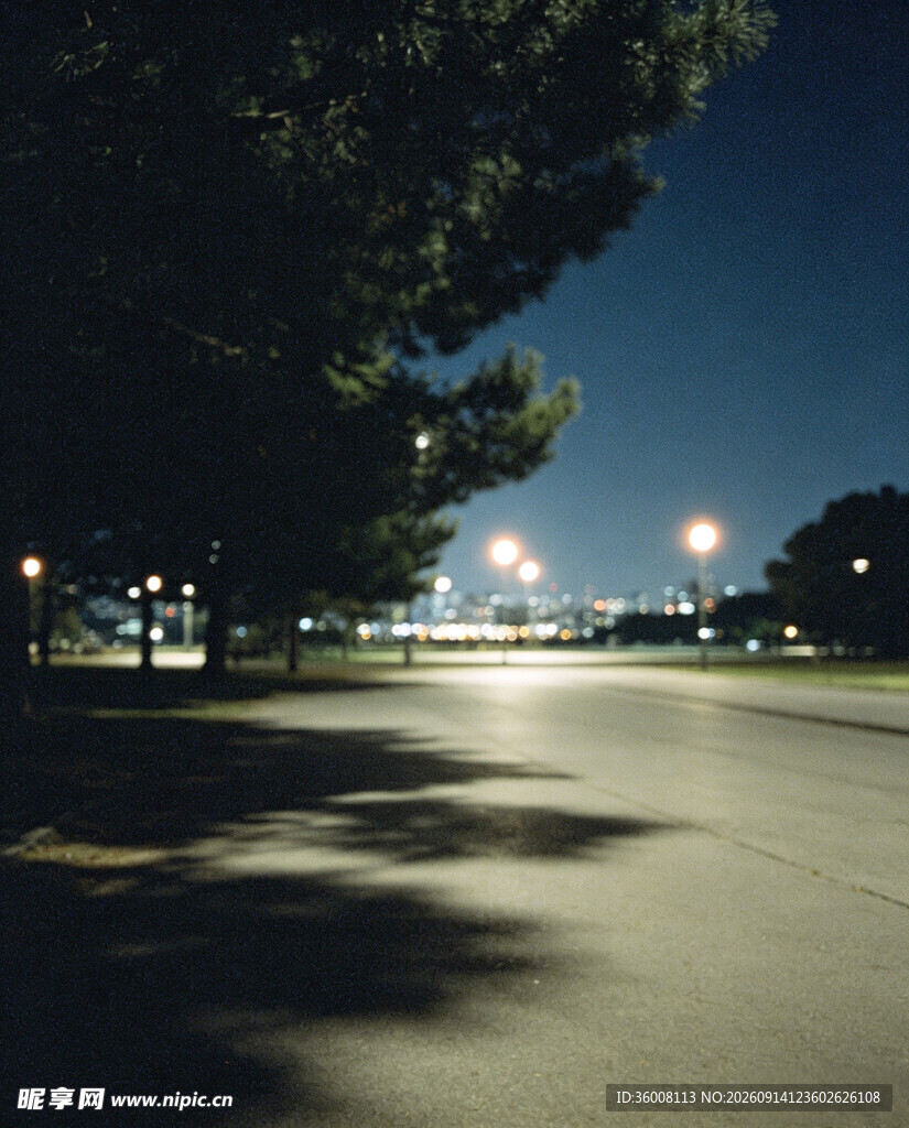夜晚静谧的道路与树木