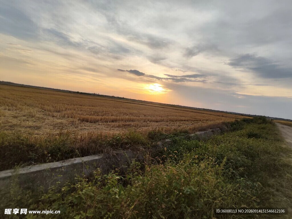 夕阳下的田野与道路