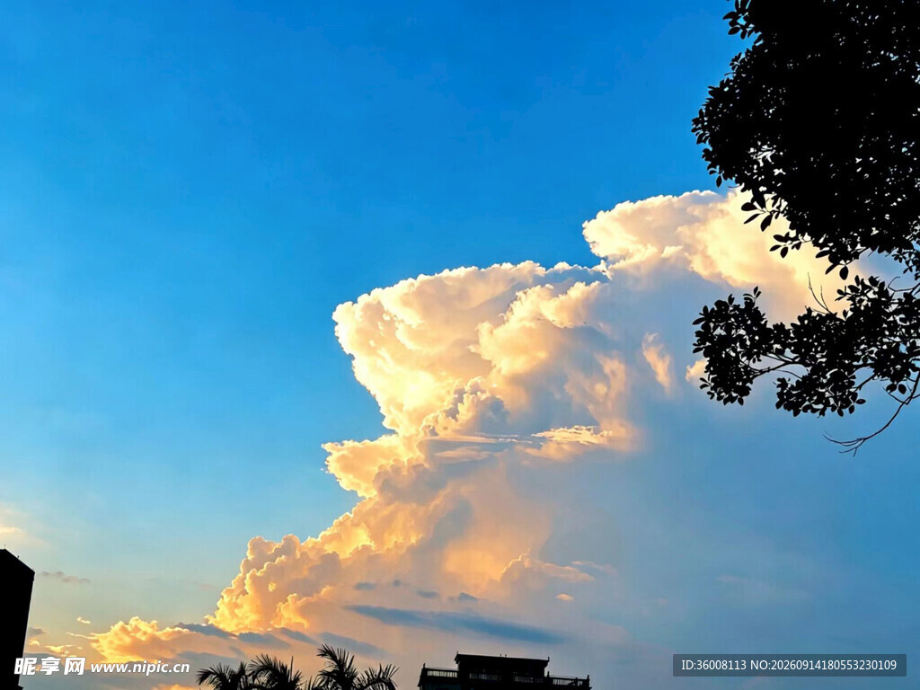 夕阳下的壮丽云朵景观