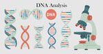 DNA 实验素材