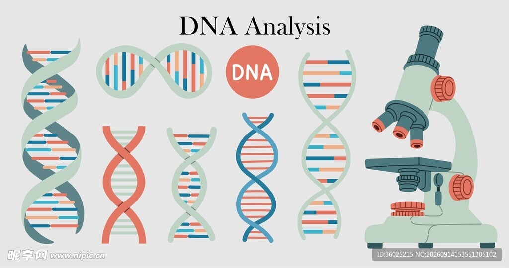 DNA 实验素材