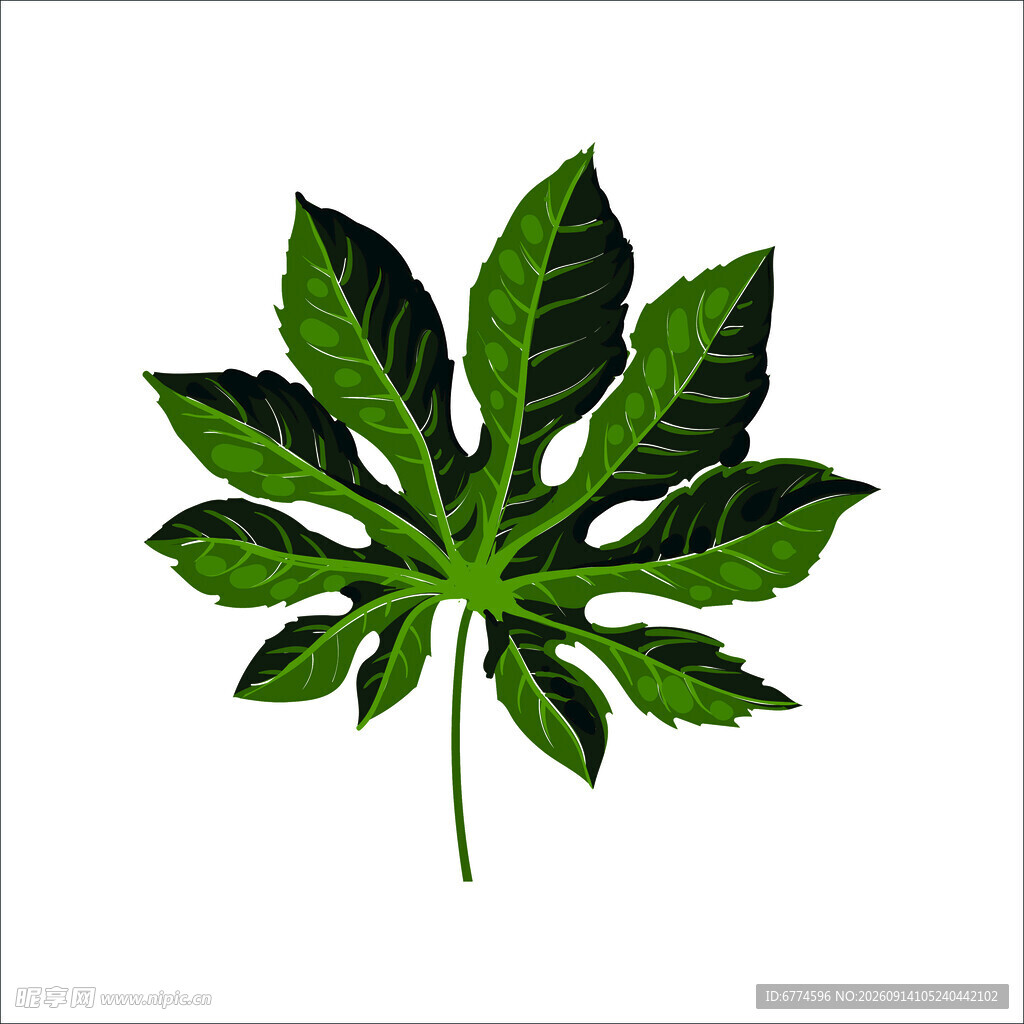 手绘七裂绿叶植物图案