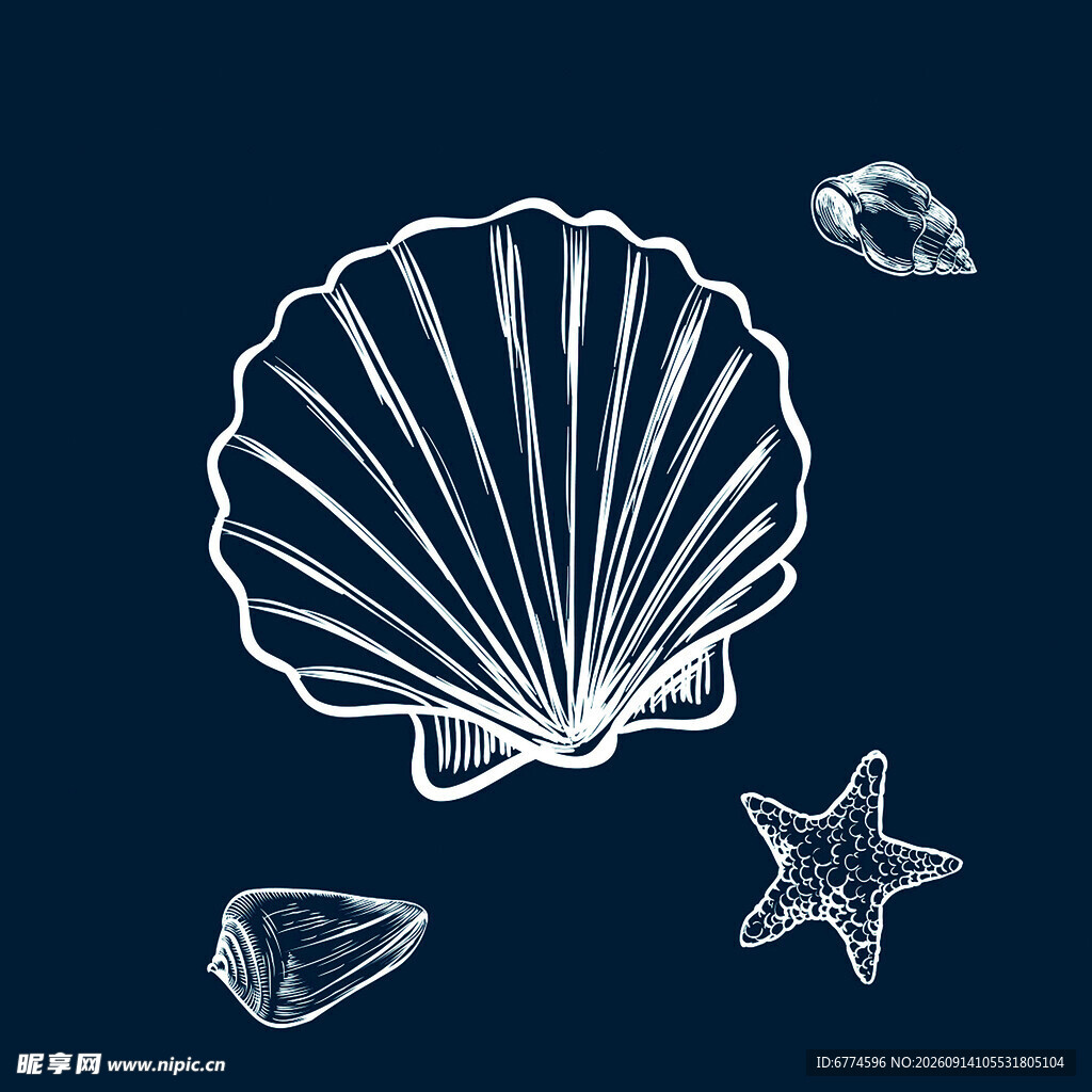贝壳海星等海洋元素图案