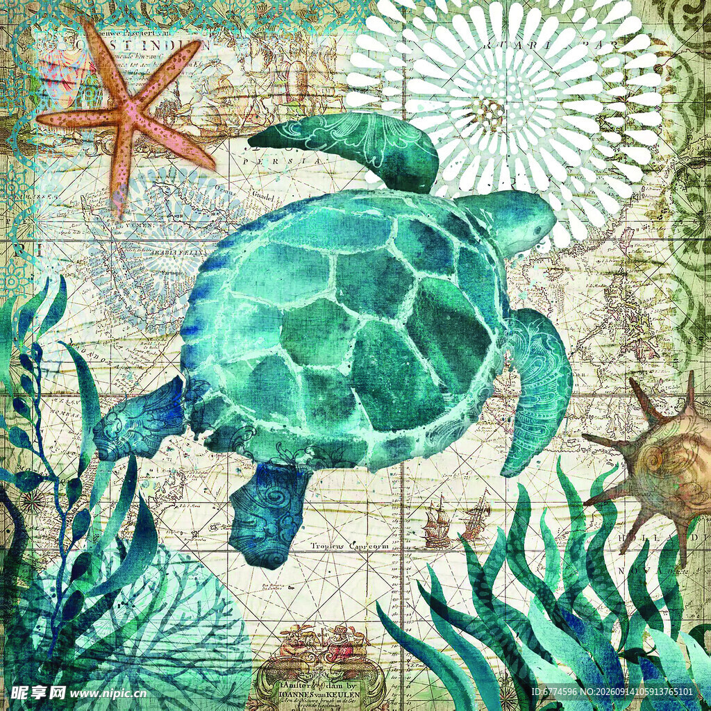 海洋海龟与多彩海底景观