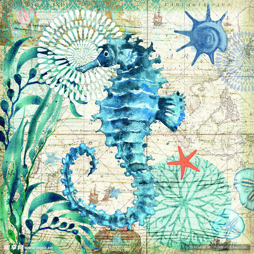 海洋风海马插画艺术图案