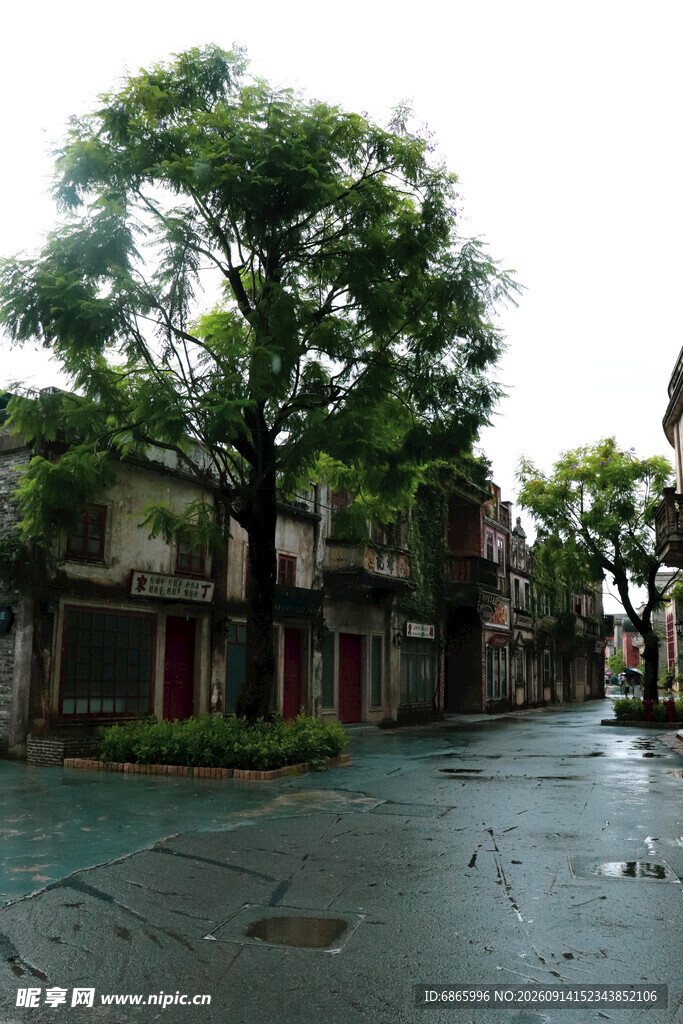 雨后古朴街道与葱郁树木
