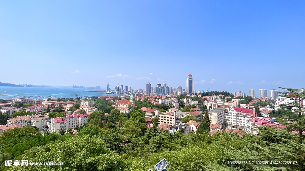 城市绿荫景观俯瞰图
