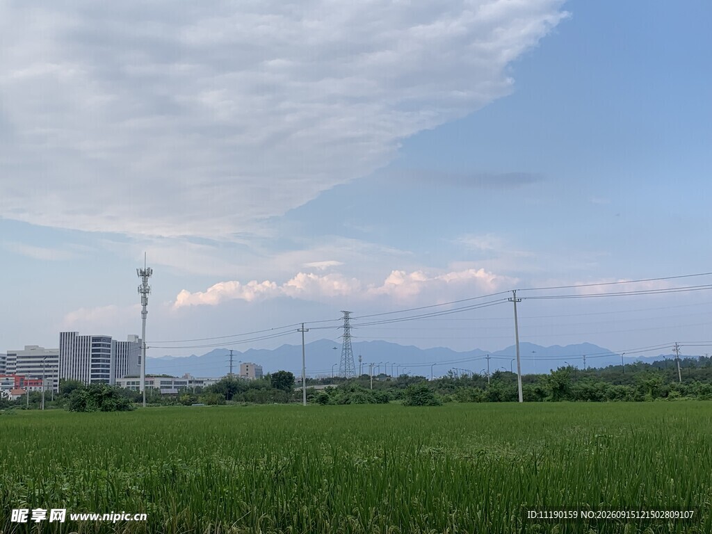 白与绿