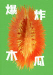 爆炸木瓜创意图像展示