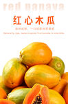 红心木瓜