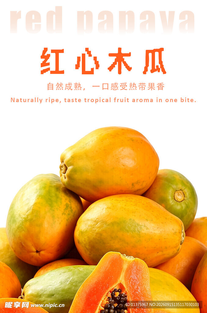 红心木瓜