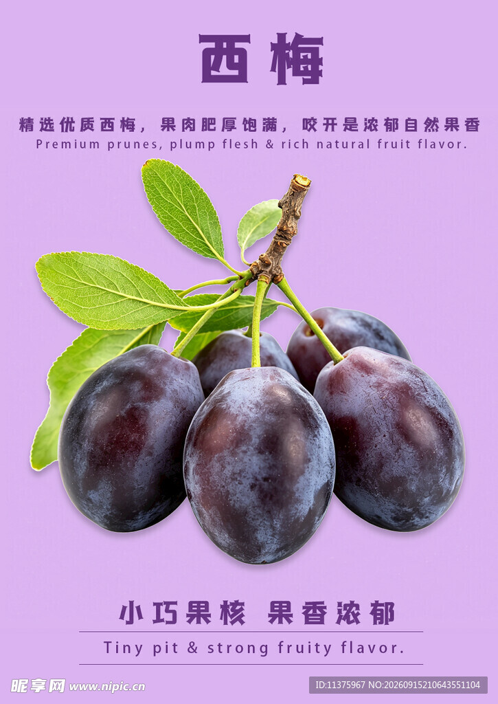 西梅果实带叶特写