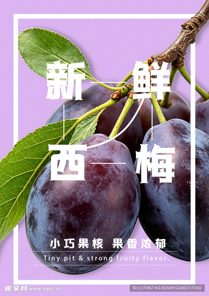 小巧饱满滋味佳