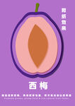 紫色西梅截面展示图