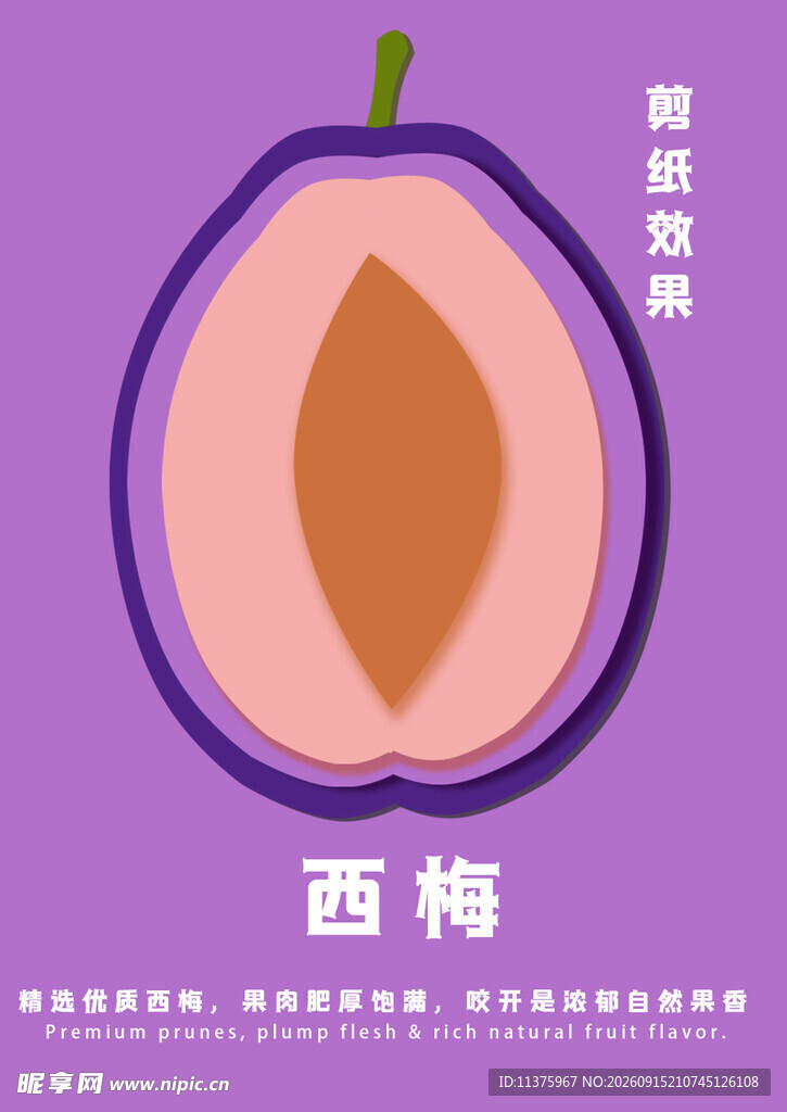 紫色西梅截面展示图