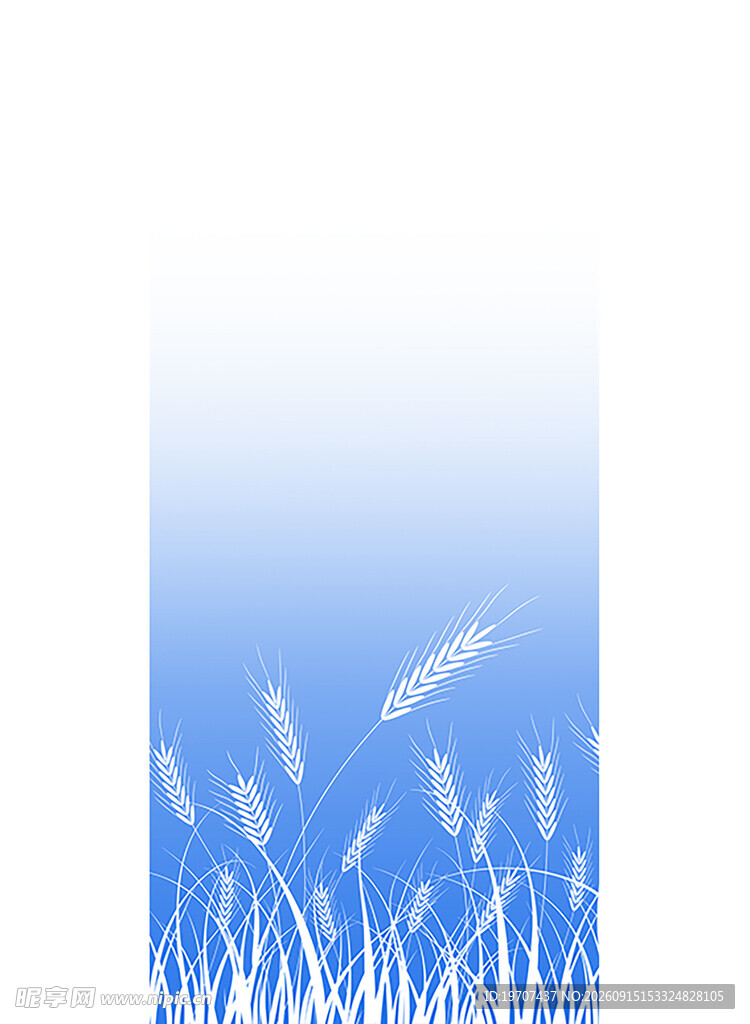 麦穗