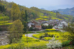 春日山村田园风光美景