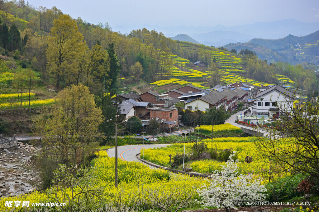 春日山村田园风光美景