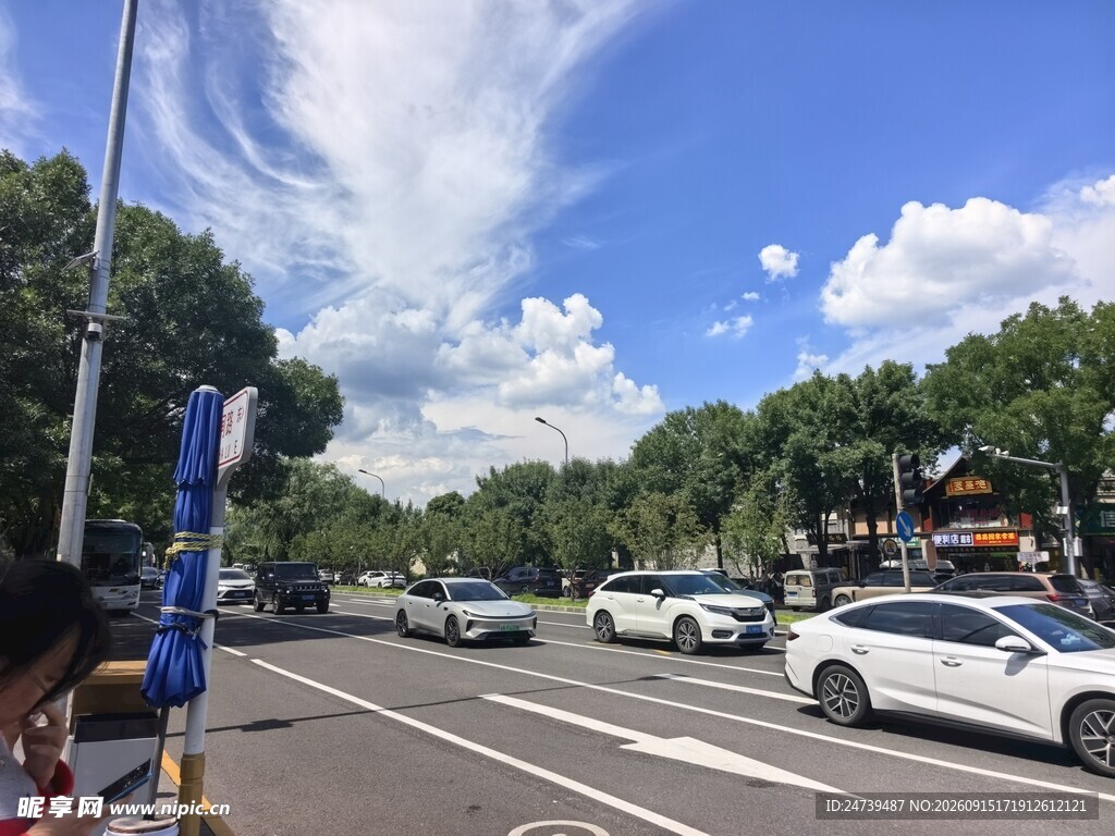 城市道路上的车辆与风景