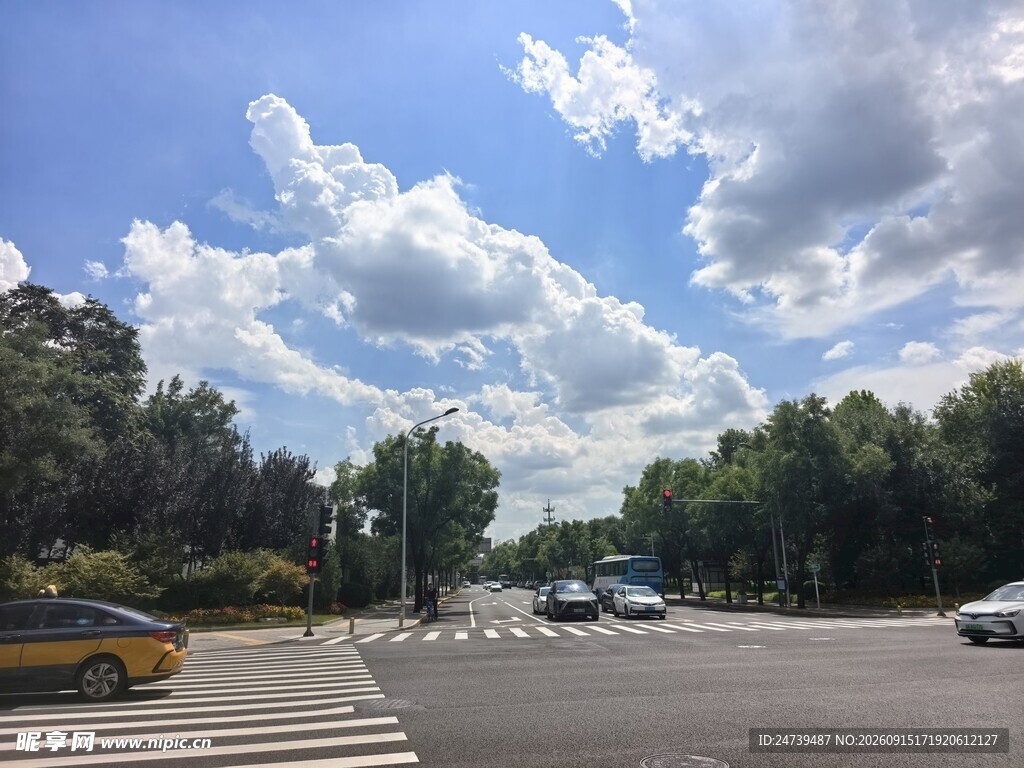 晴朗道路上的车辆与绿树