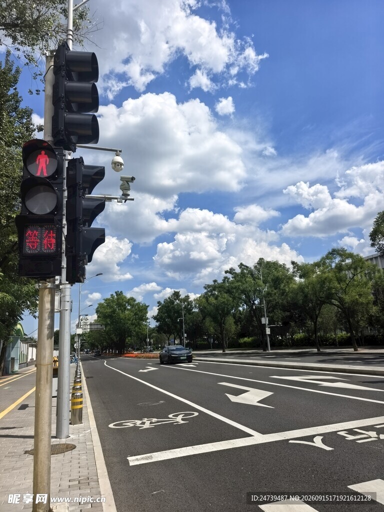 城市道路红绿灯场景