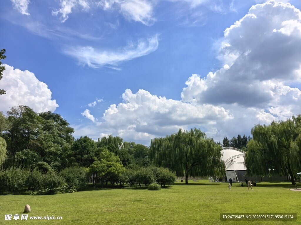 户外绿野蓝天美景