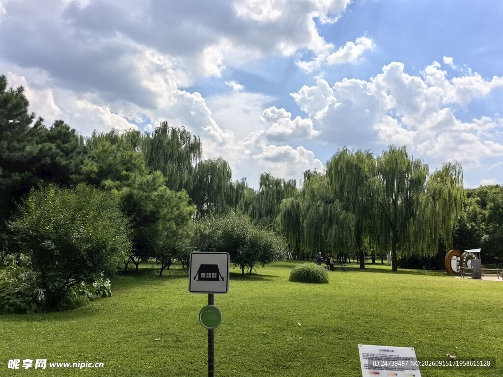 绿意盎然的户外休闲草地