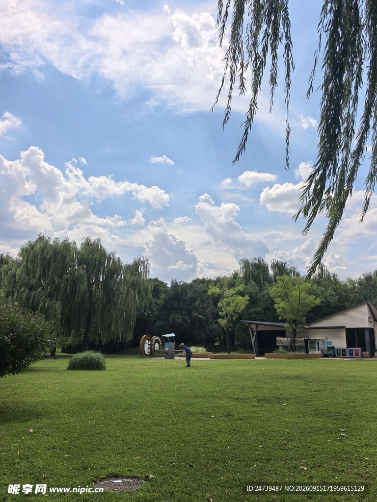 海淀公园美景