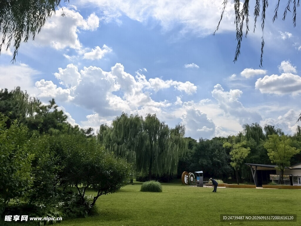 户外绿意盎然的休闲场景