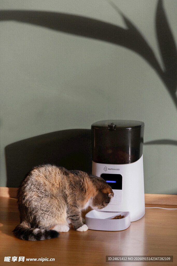 猫咪好奇探身宠物喂食器
