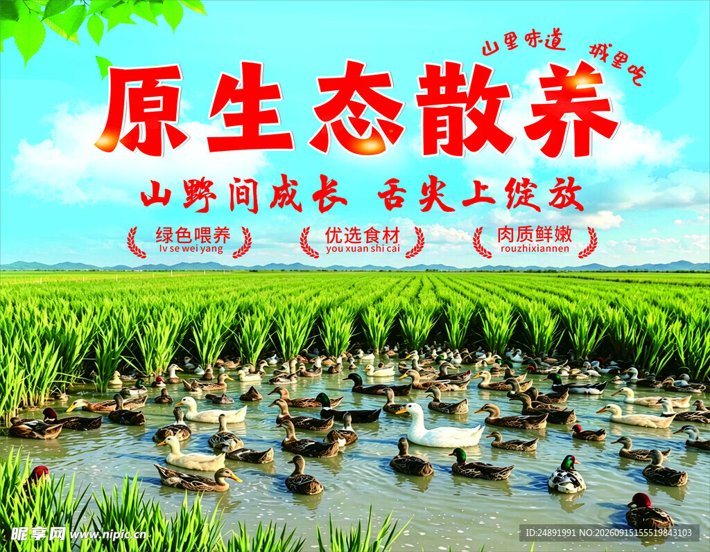 酸酒鸭