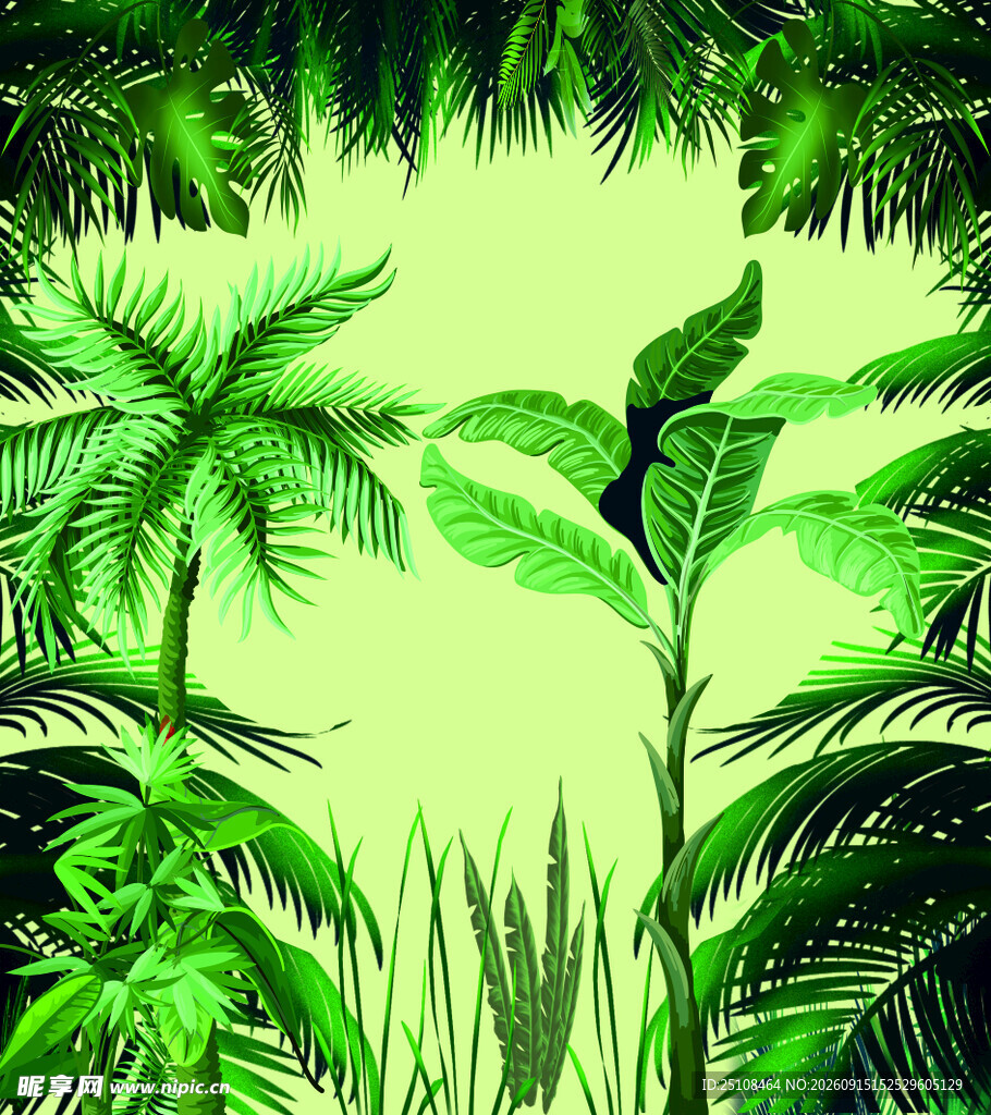 热带植物 树叶 椰子树