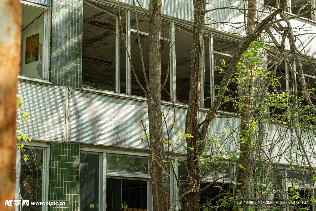 废弃建筑被绿植环绕