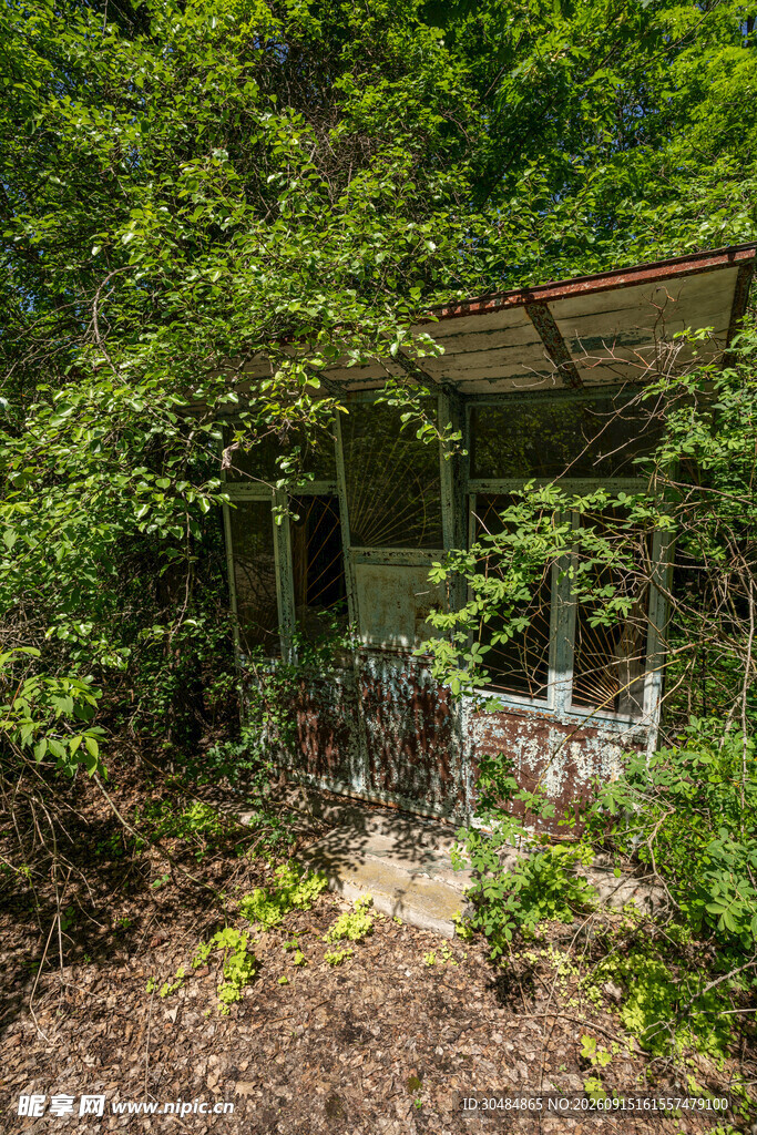 被绿植环绕的废弃小屋
