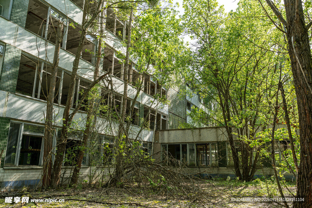 废弃建筑旁的葱郁树林