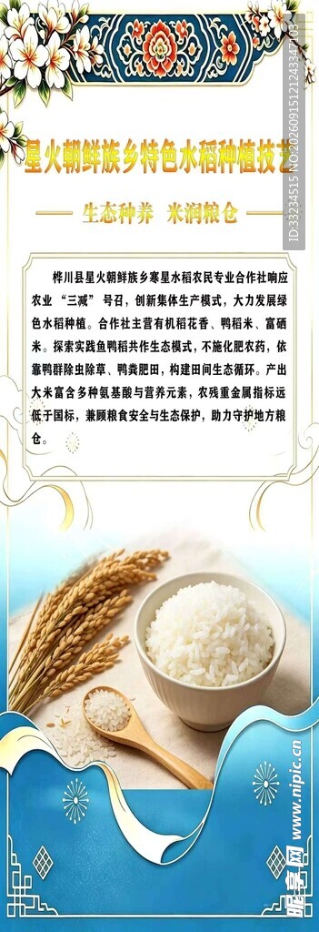 大米 水稻种植艺术